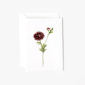 Dahlia stem mini enclosure notecard