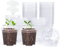 Clear Nursery Pot with Drainage