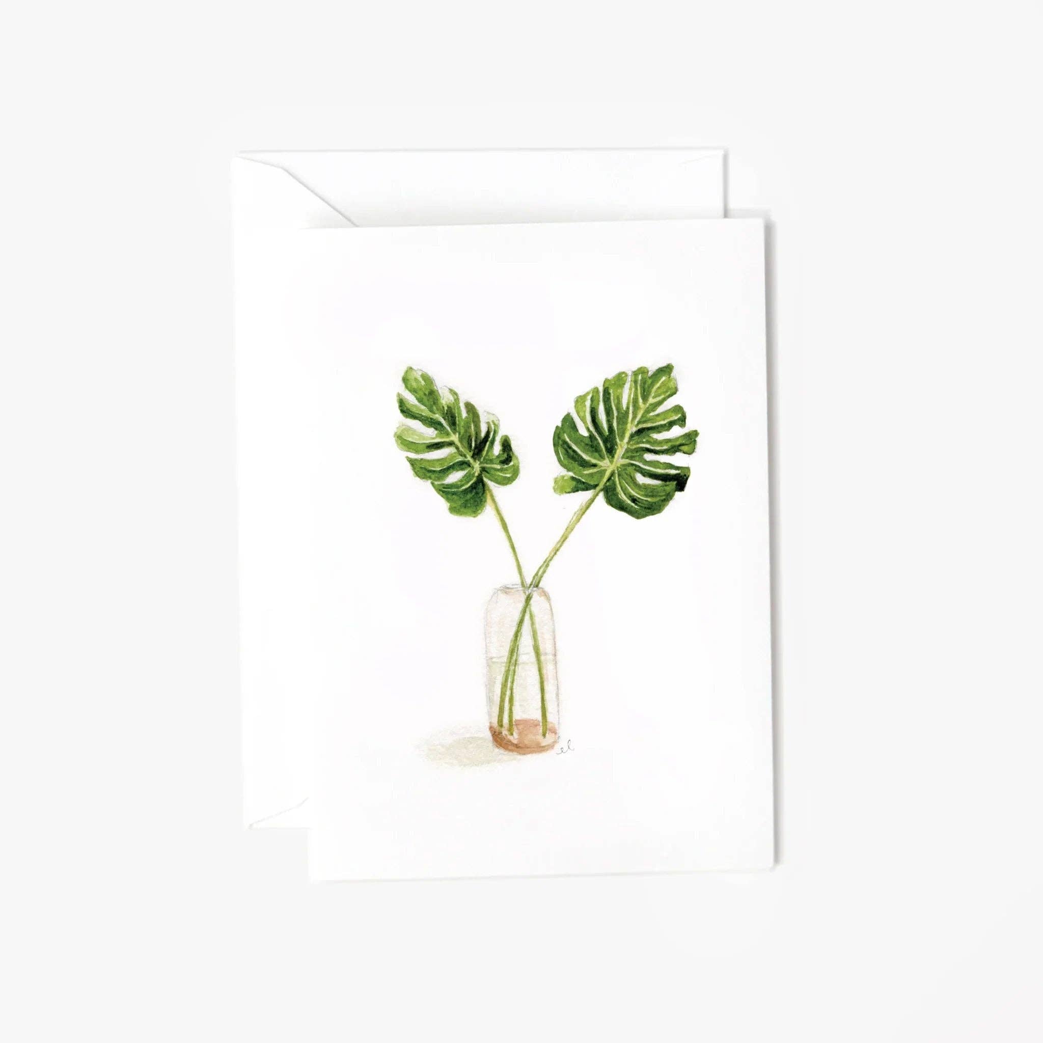 Monstera leaves tropical mini enclosure notecard