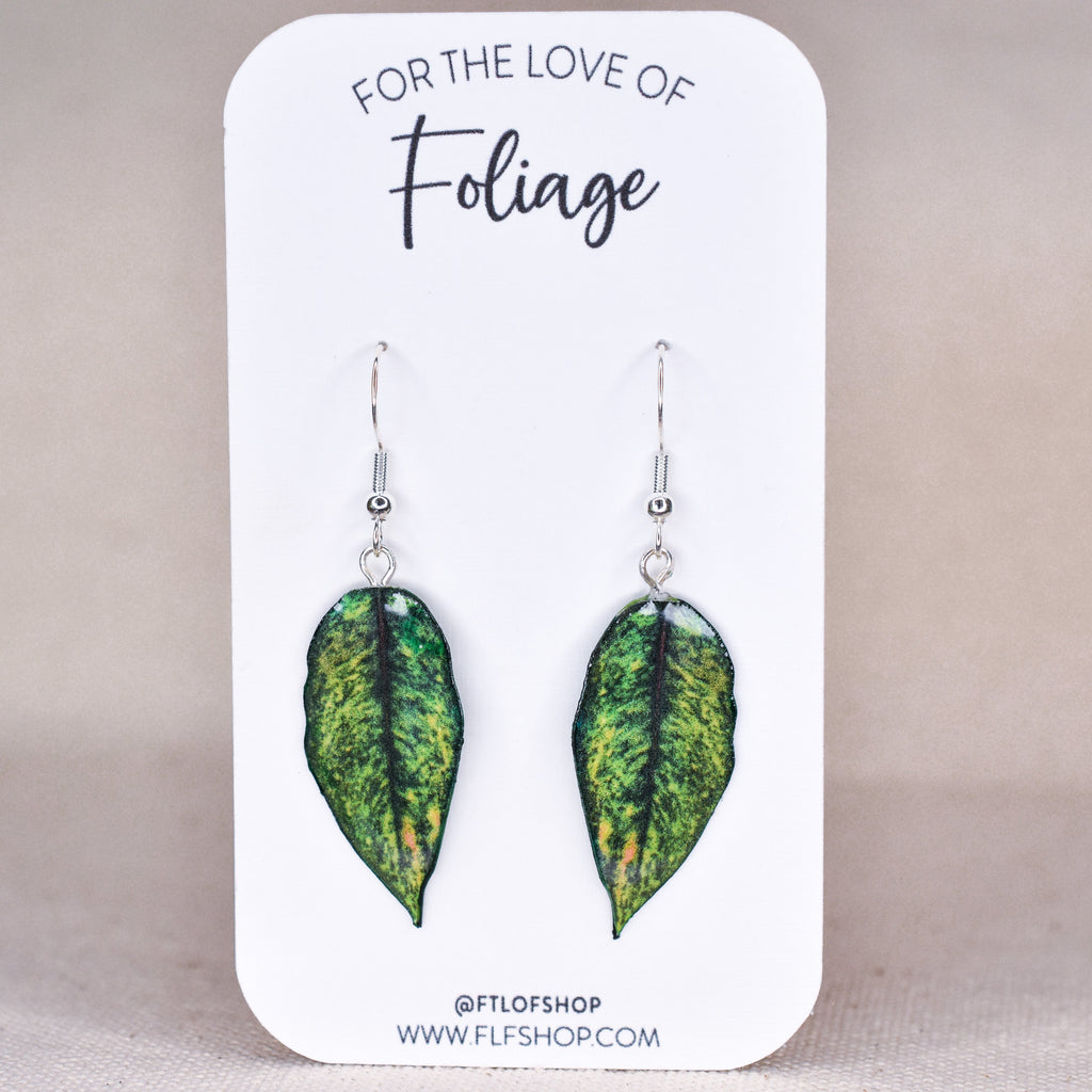 Aglaonema "Golden Papaya" Plant Earrings | Leaf Earrings