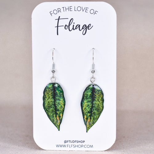 Aglaonema "Golden Papaya" Plant Earrings | Leaf Earrings