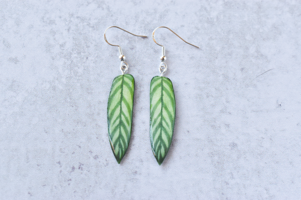 Calathea Bachemiana Plant Earrings | Leaf Earrings
