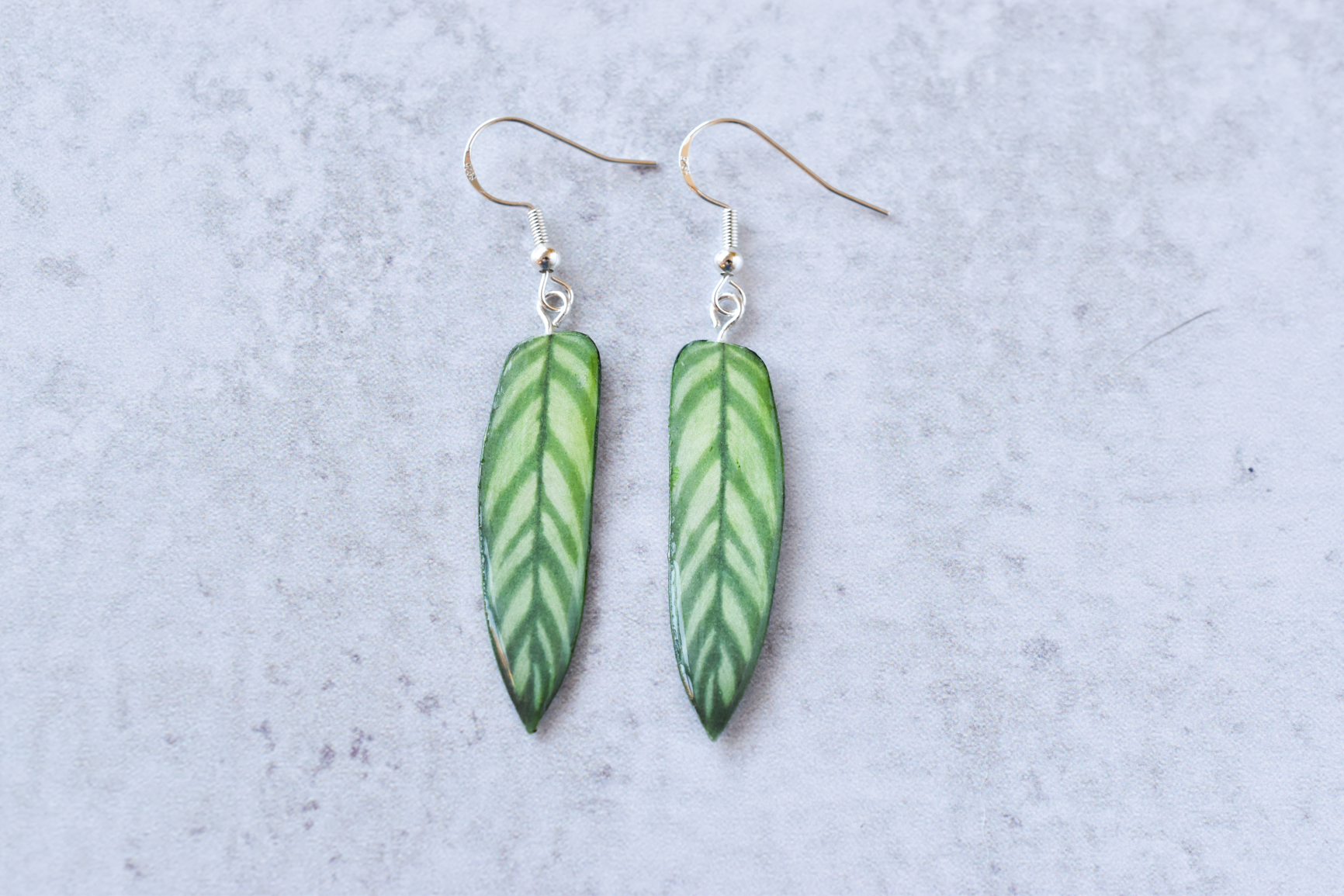 Calathea Bachemiana Plant Earrings | Leaf Earrings