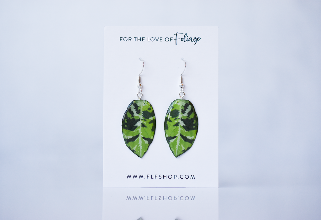 Aglaonema Pictum Tricolor Plant Earrings | Leaf Earrings