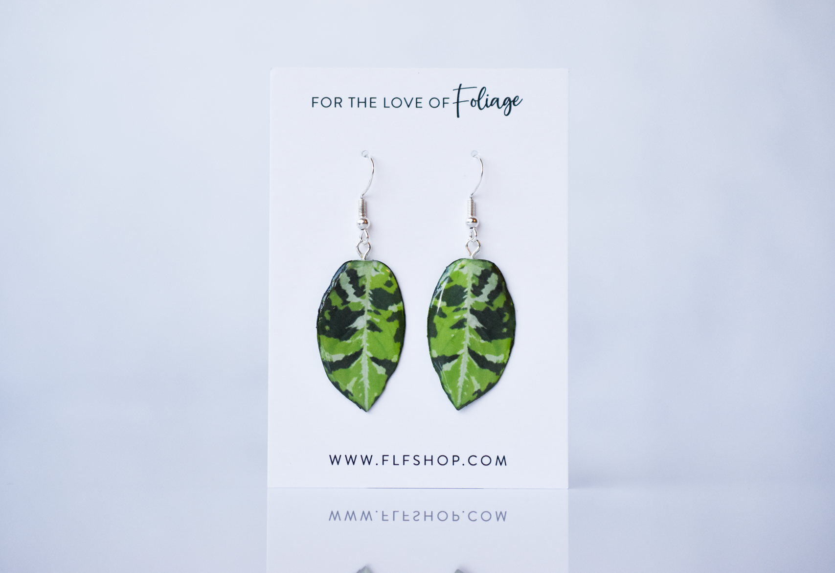 Aglaonema Pictum Tricolor Plant Earrings | Leaf Earrings