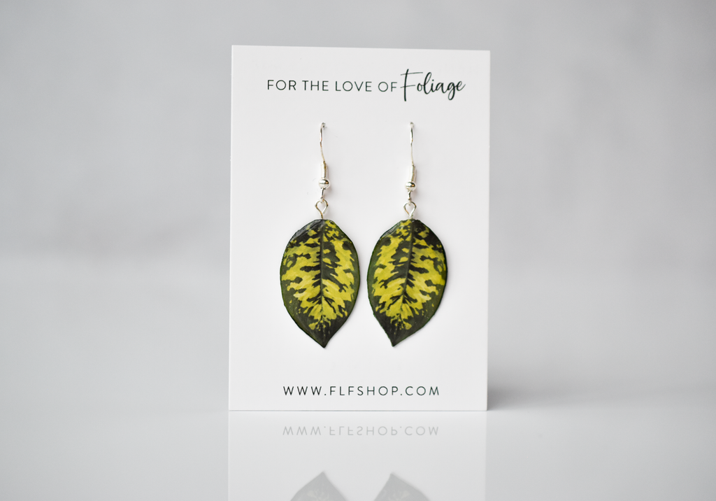 Homalomena Wallisii "Camouflage" Plant Earrings | Leaf Earrings