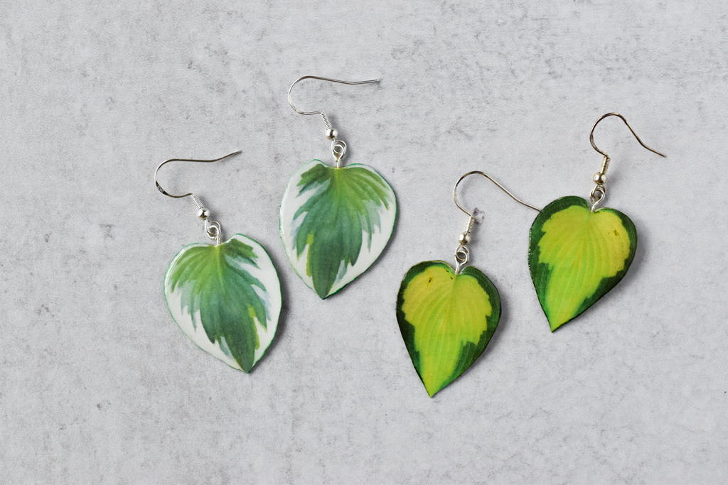 Hosta Guacamole Plant Earrings | Leaf Earrings