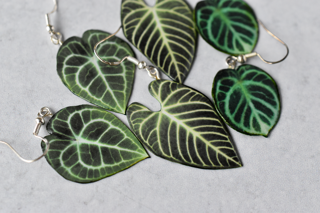 Anthurium Clarinervium Plant Earrings | Leaf Earrings