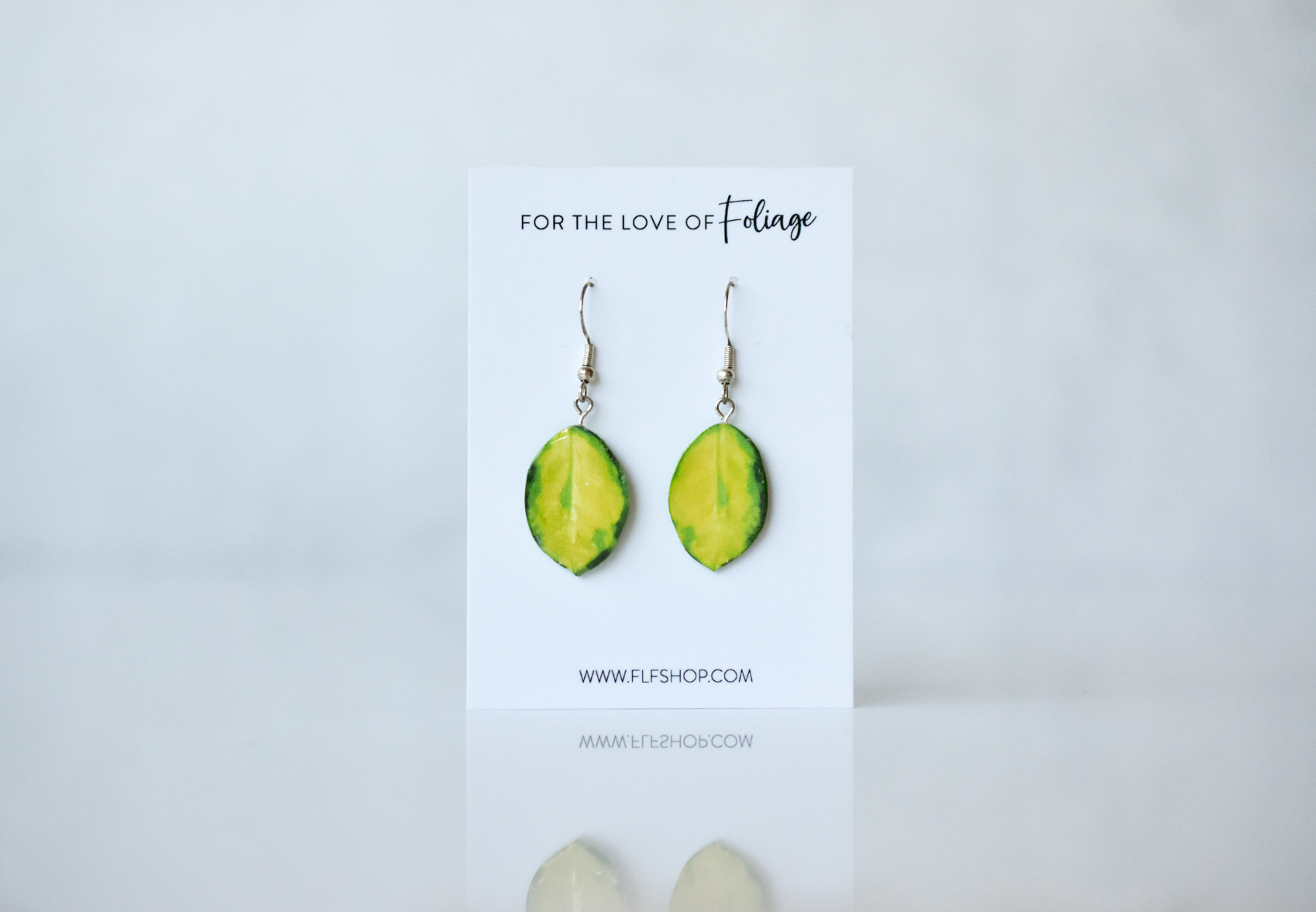 Hoya Australis Variegated “Lisa” Plant Earrings | Leaf Earrings