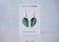 Monstera Siltepecana Plant Earrings | Leaf Earrings
