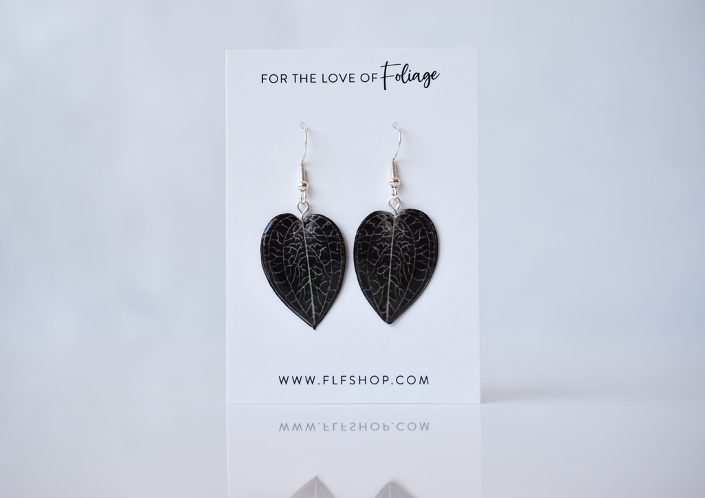 Anoectochilus Sikkimensis Jewel Orchid Plant Earrings | Leaf Earrings