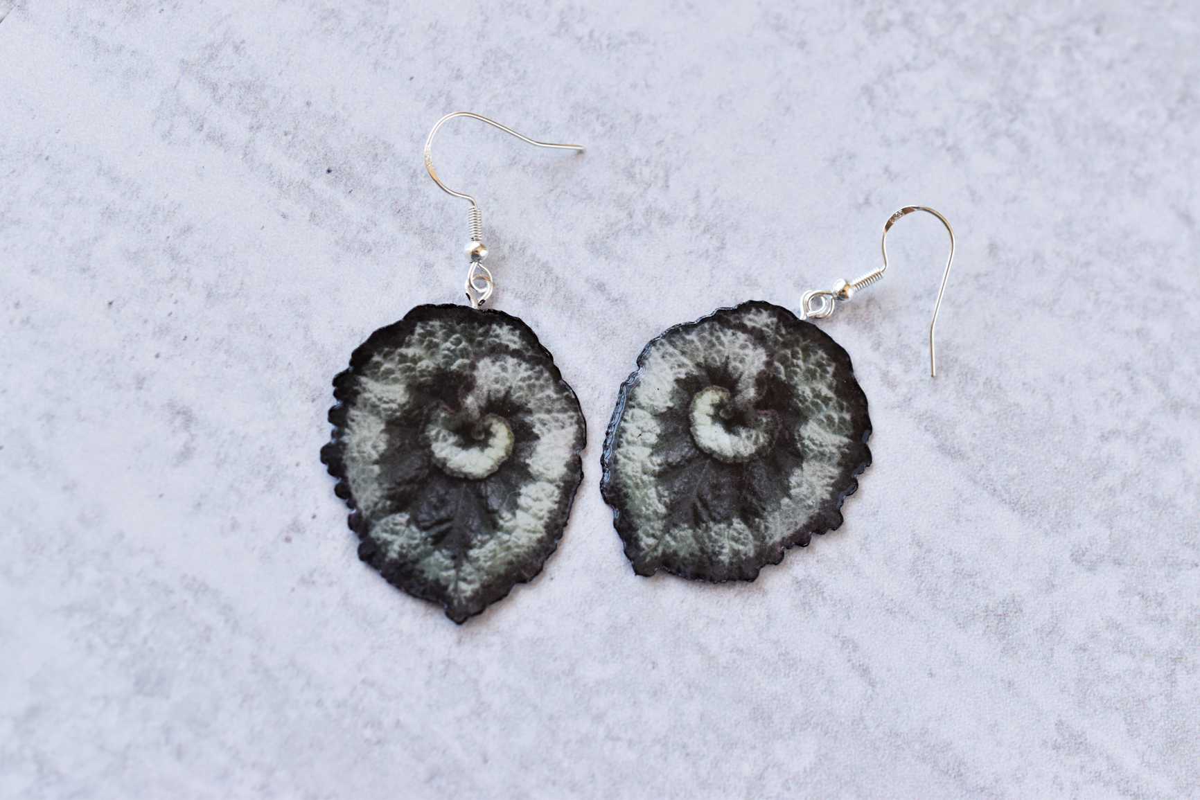 Begonia Escargot Plant Earrings | Leaf Earrings