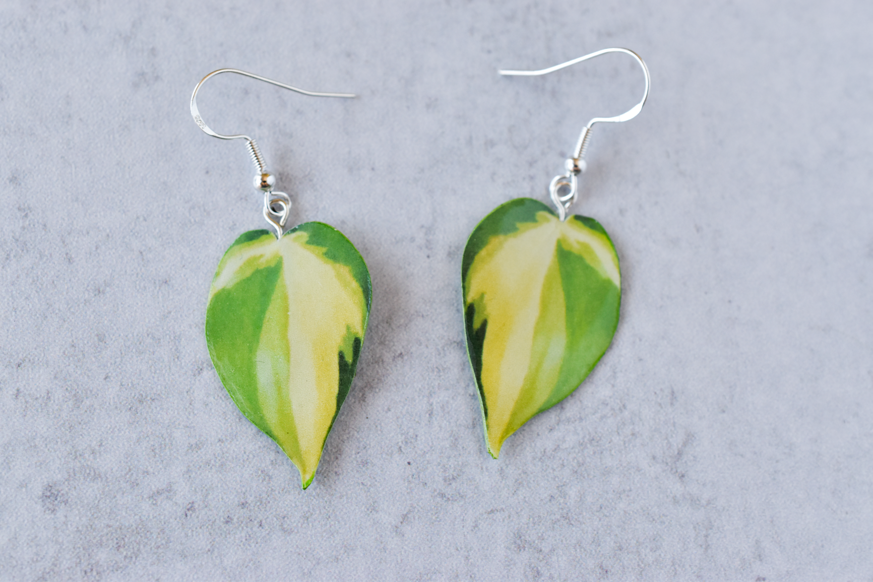 Philodendron Brasil Plant Earrings | Leaf Earrings