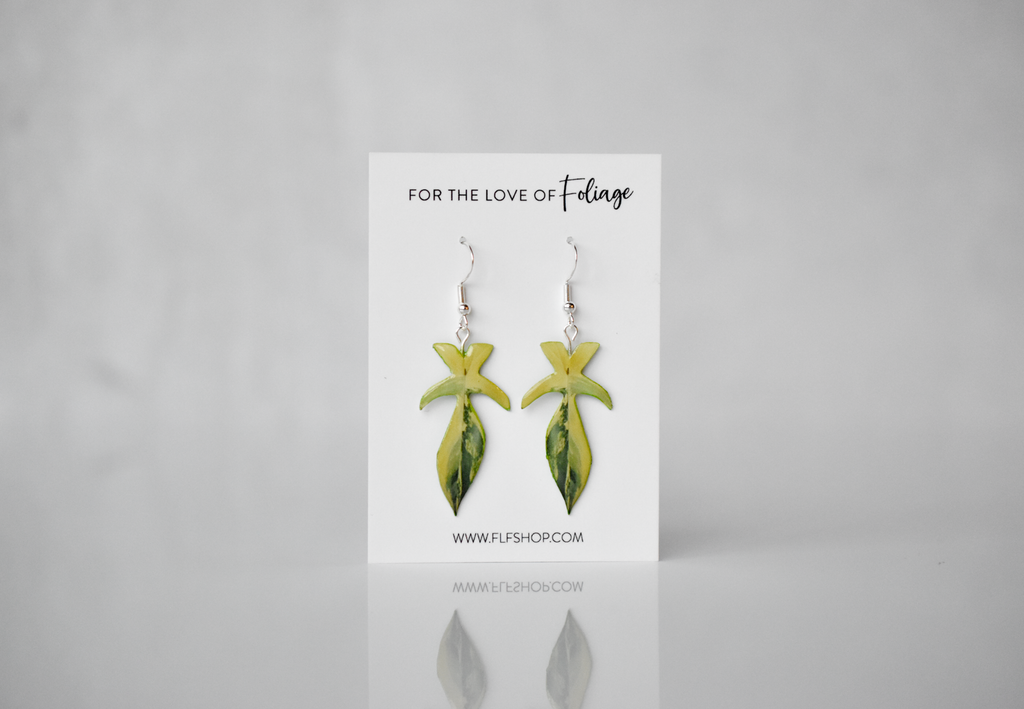 Philodendron Florida Beauty Plant Earrings | Leaf Earrings
