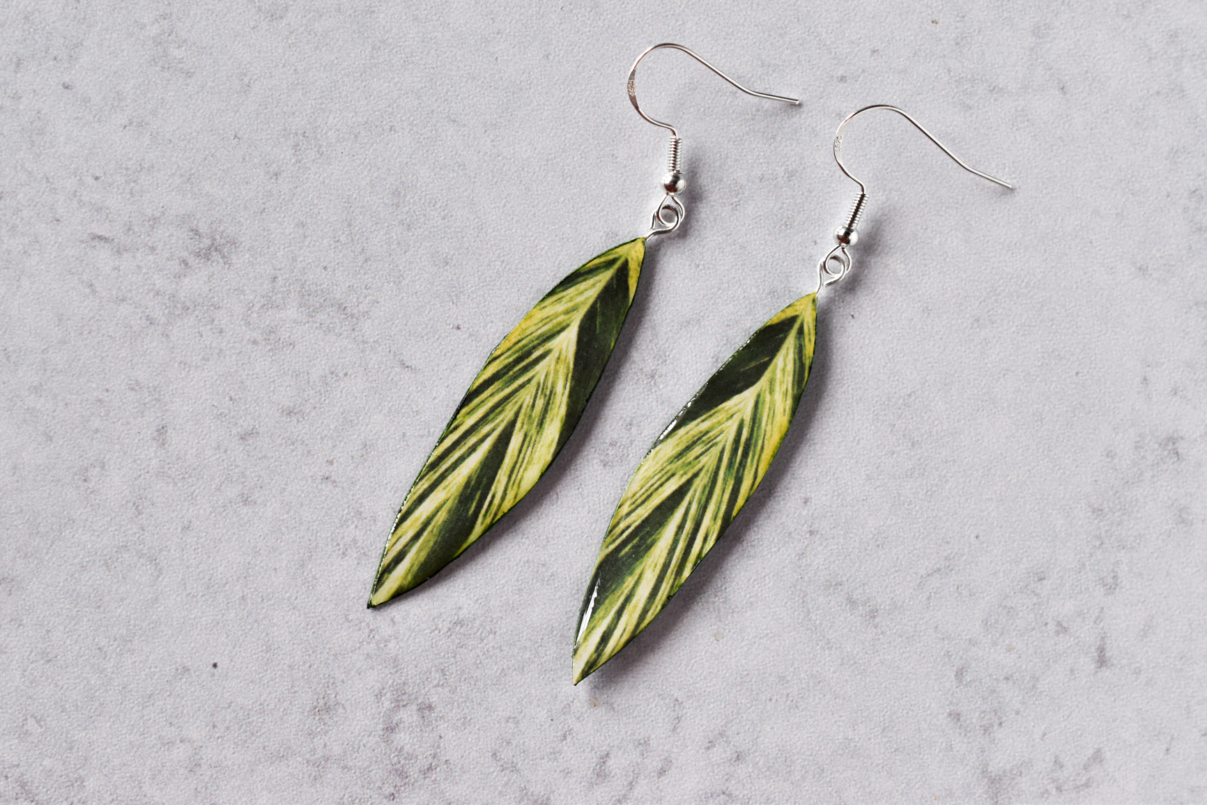 Alpinia Zerumbet Variegata "Shell Ginger" Plant Earrings | Leaf Earrings
