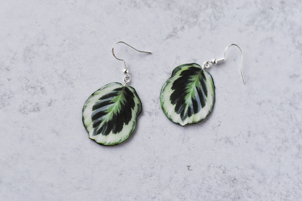 Calathea Roseopicta “Marion” Plant Earrings | Leaf Earrings