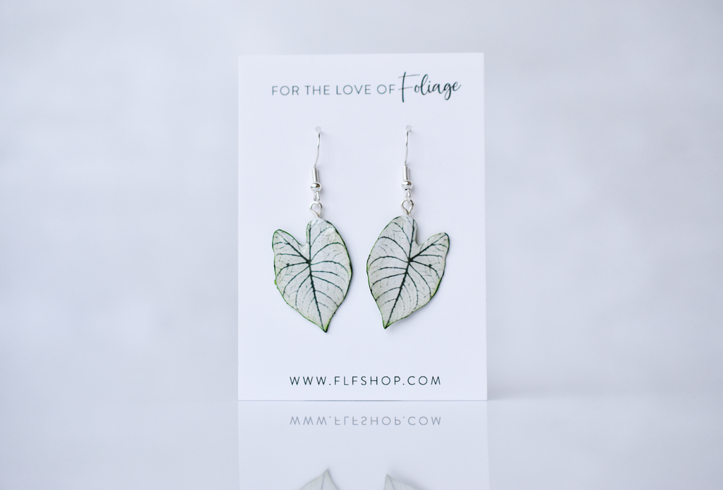 Caladium "White Christmas" Plant Earrings | Leaf Earrings