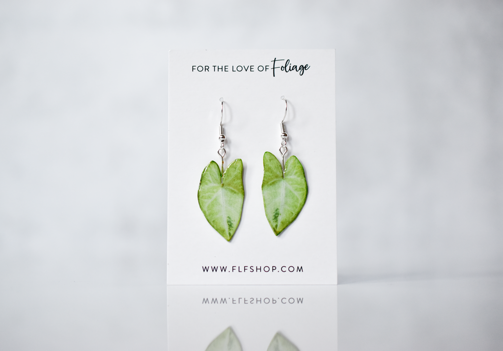 Syngonium White Butterfly Plant Earrings | Leaf Earrings