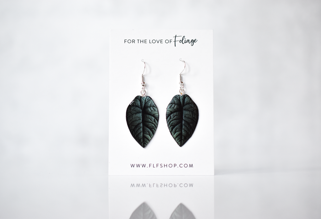 Alocasia Maharani Plant Earrings | Leaf Earrings
