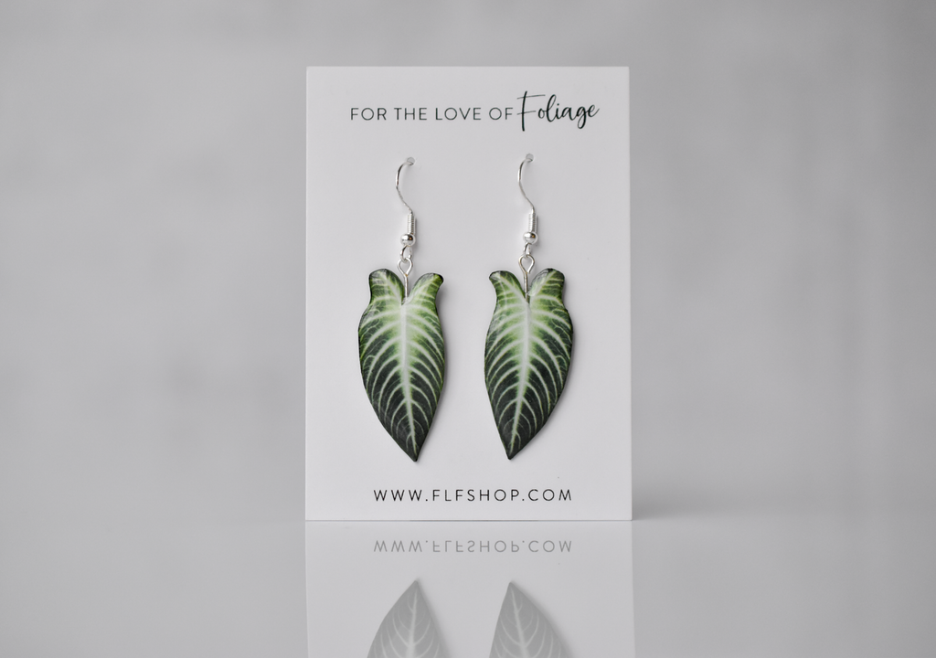 Caladium Lindenii Plant Earrings | Leaf Earrings