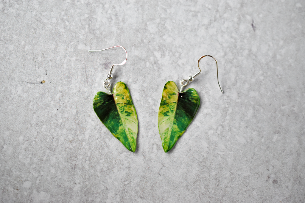 Philodendron Strawberry Shake Plant Earrings | Leaf Earrings