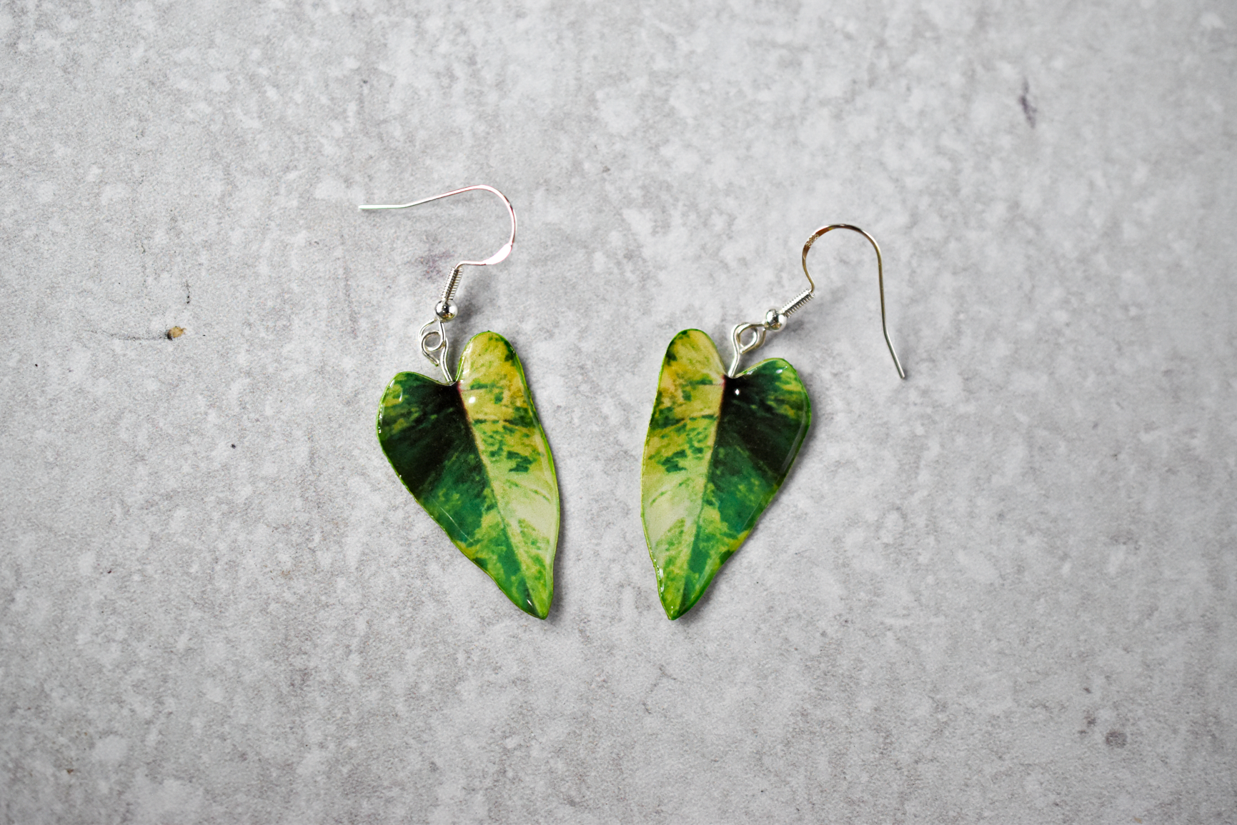Philodendron Strawberry Shake Plant Earrings | Leaf Earrings