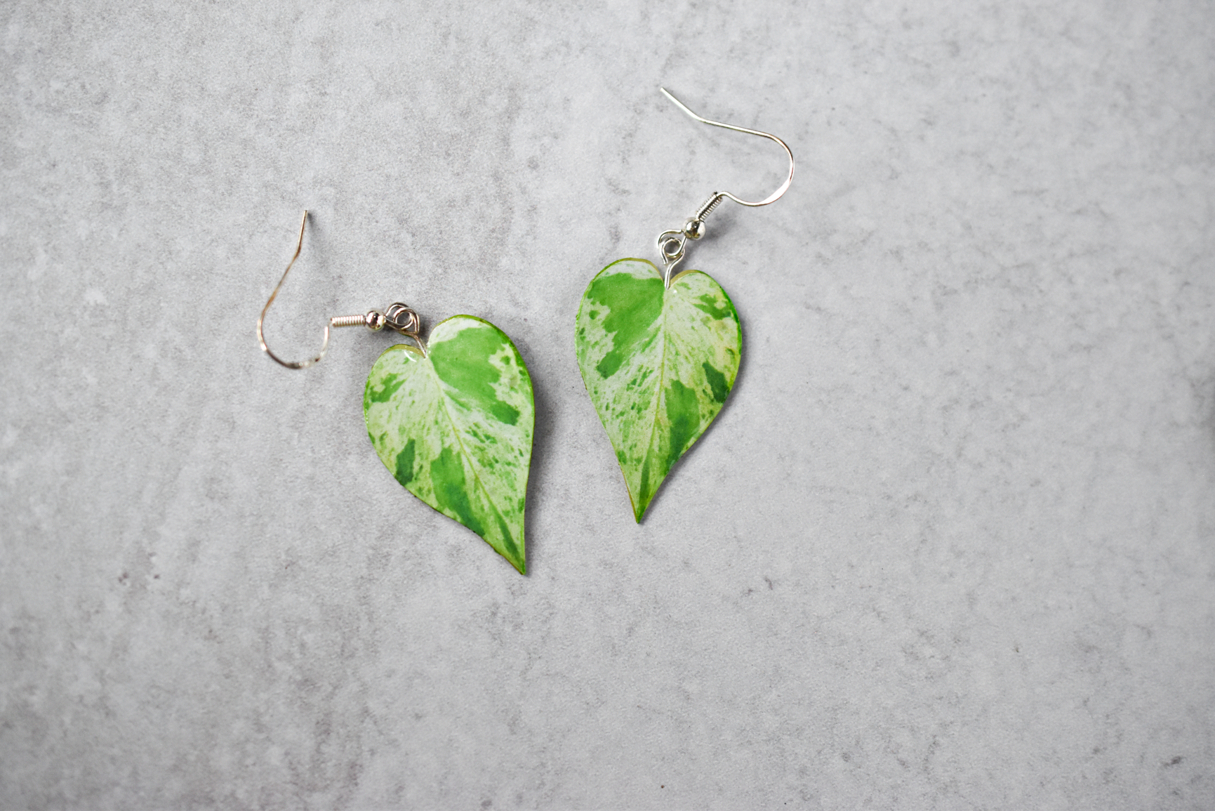 Variegated Heart Leaf Philodendron Plant Earrings | Leaf Earrings
