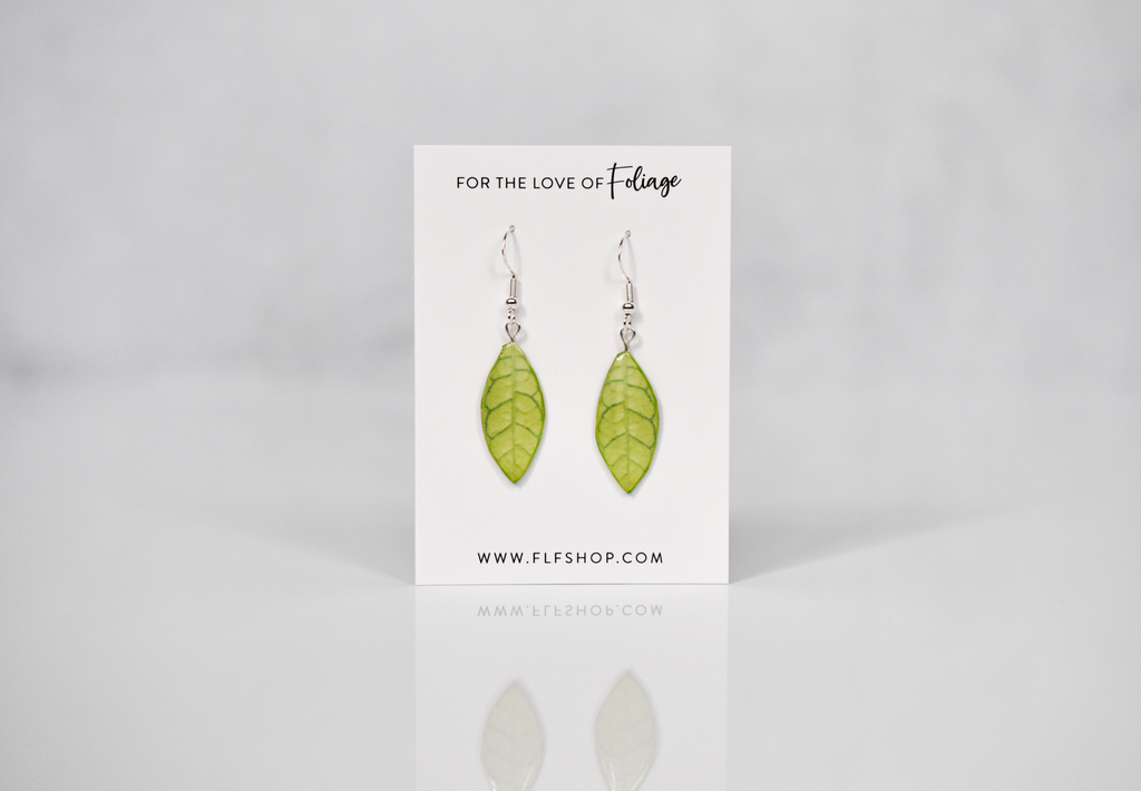 Hoya Callistophylla Plant Earrings | Leaf Earrings