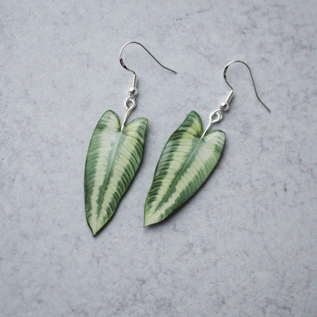 Schismatoglottis Wallichii Plant Earrings | Leaf Earrings