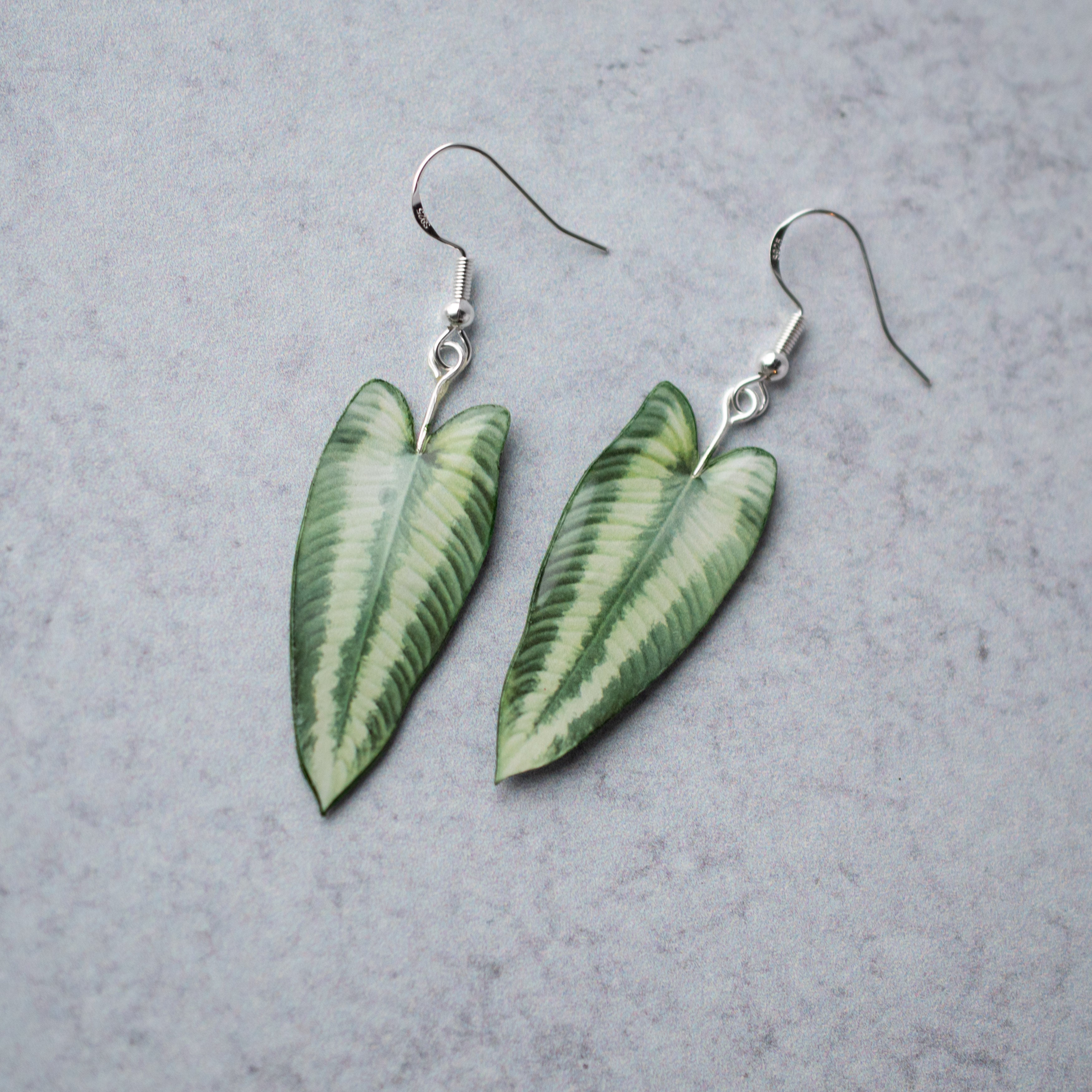 Schismatoglottis Wallichii Plant Earrings | Leaf Earrings