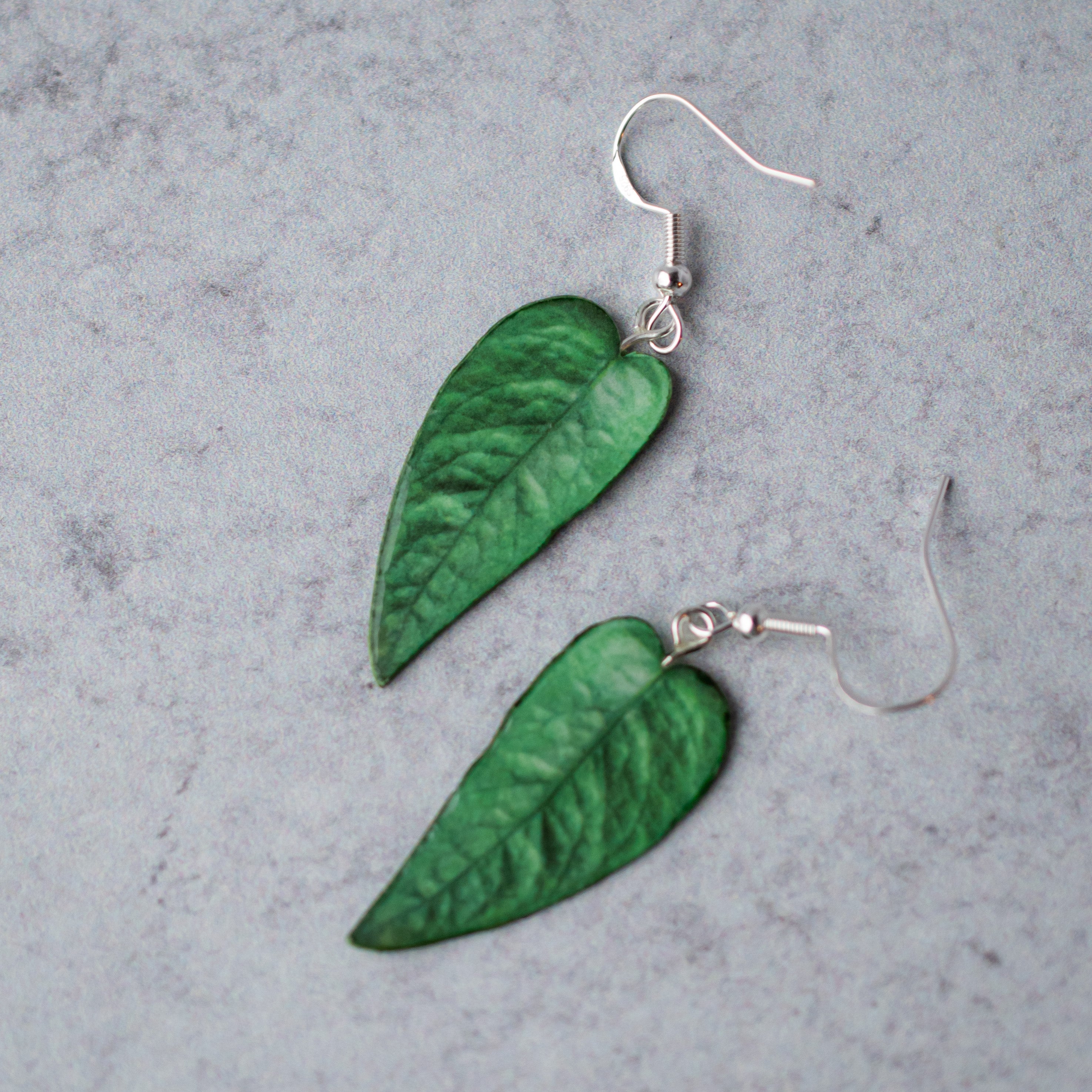 Epipremnum Pinnatum "Cebu Blue" Plant Earrings | Leaf Earrings