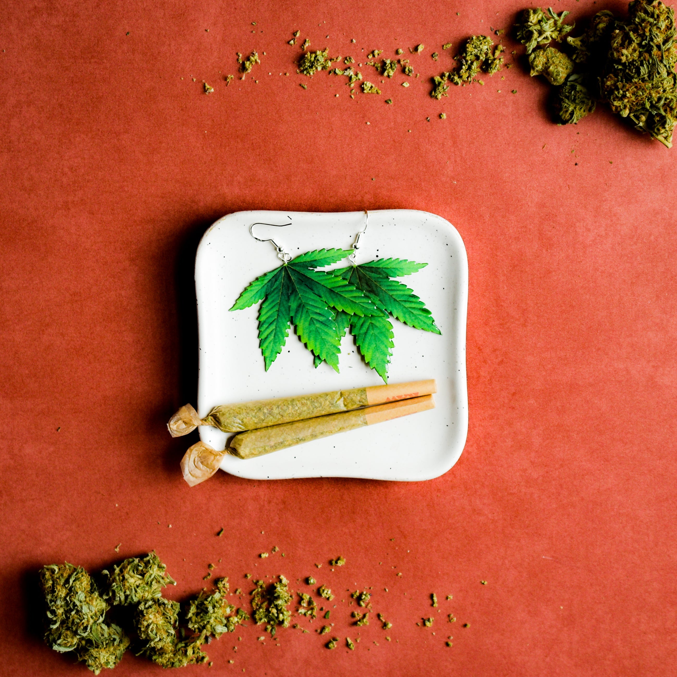 Marijuana Leaf JUMBO Plant Earrings | Pot Leaf Earrings | 420 Earrings | Cannabis Earrings