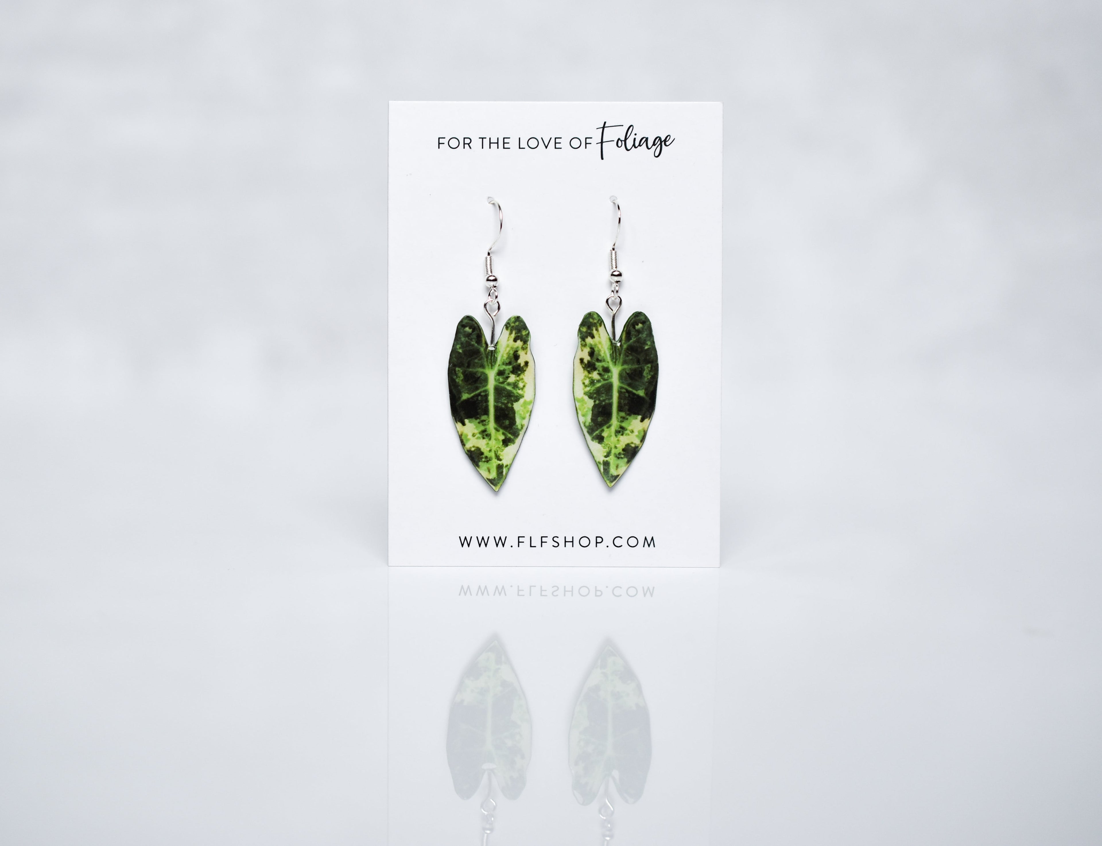 Variegated Alocasia Frydek Plant Earrings | Leaf Earrings