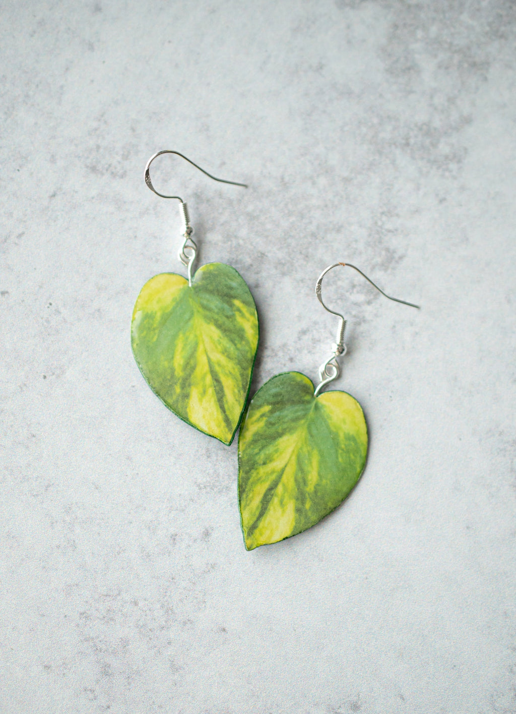 Epipremnum Aureum "Golden Pothos" Plant Earrings | Leaf Earrings
