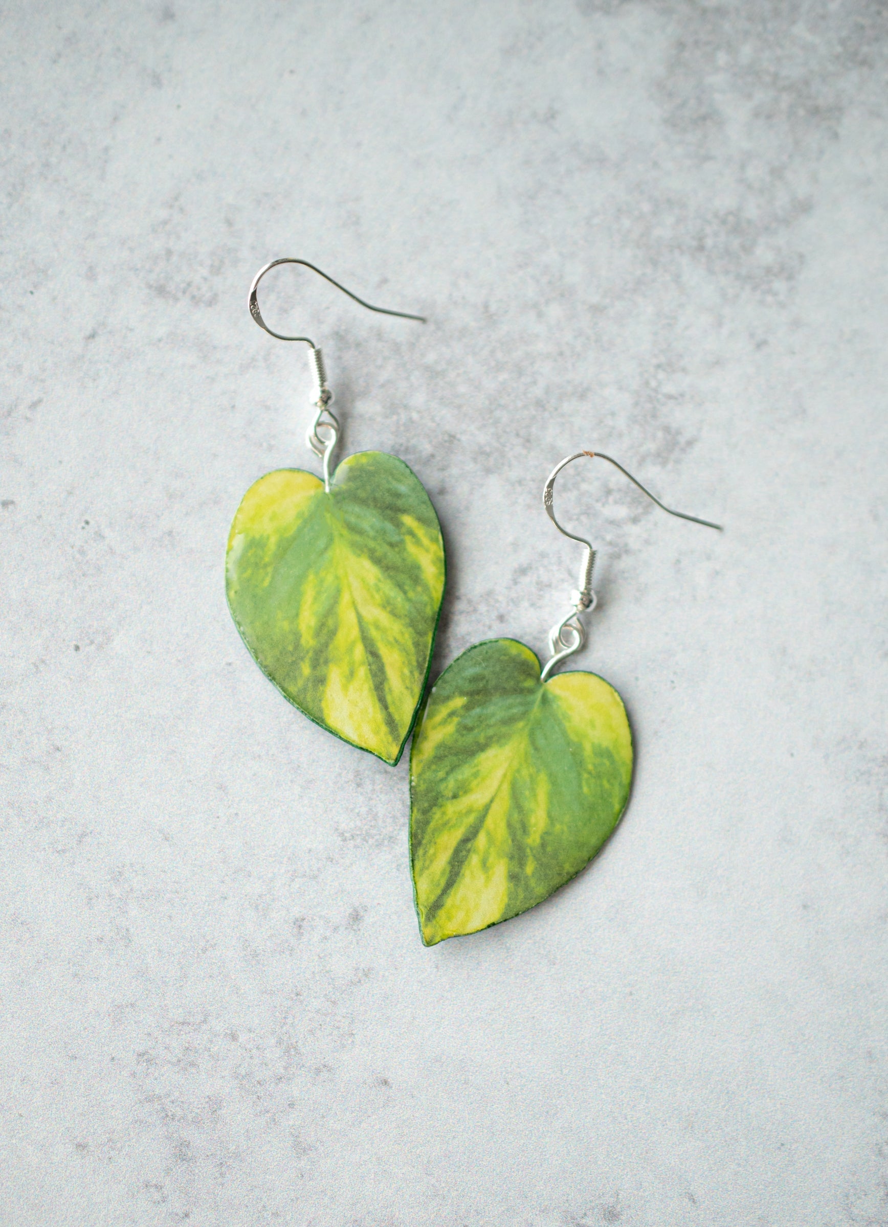 Epipremnum Aureum "Golden Pothos" Plant Earrings | Leaf Earrings