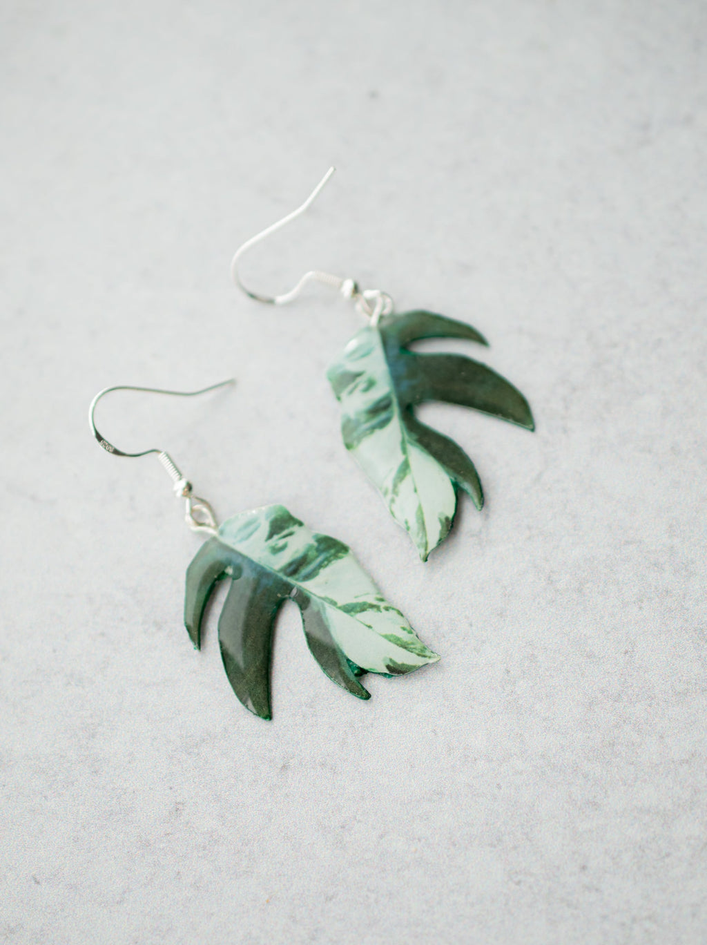 Epipremnum Pinnatum Albo Plant Earrings | Leaf Earrings