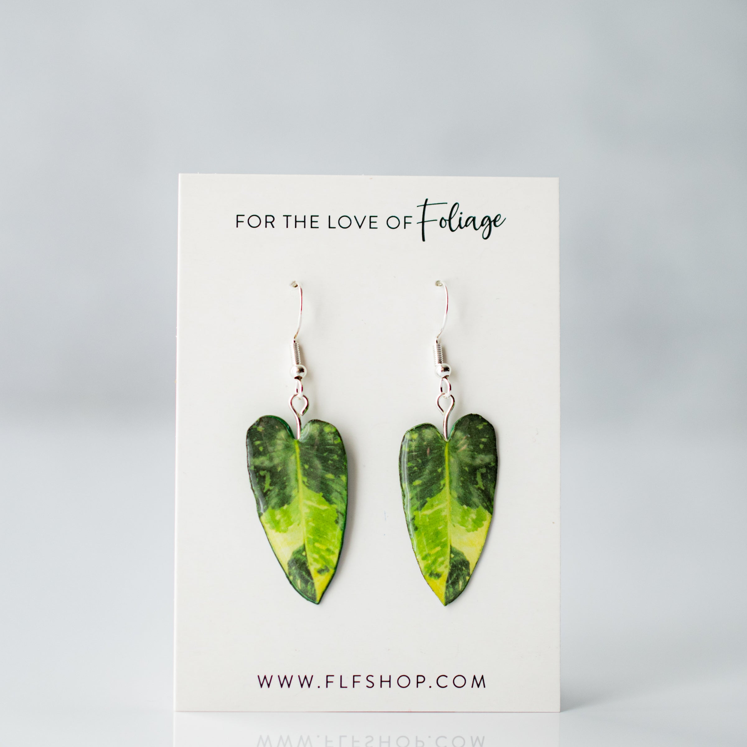 Philodendron Jose Buono Aurea Plant Earrings | Leaf Earrings