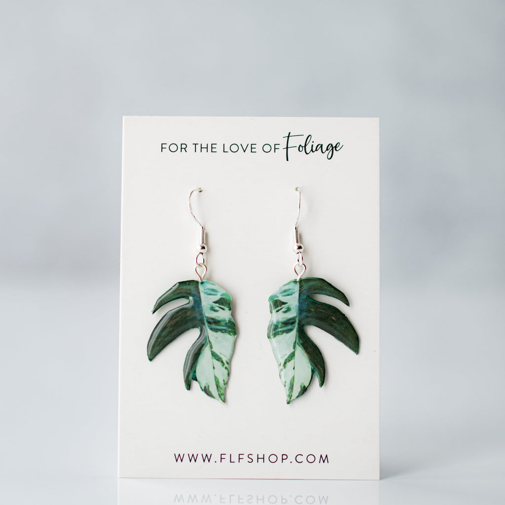 Epipremnum Pinnatum Albo Plant Earrings | Leaf Earrings