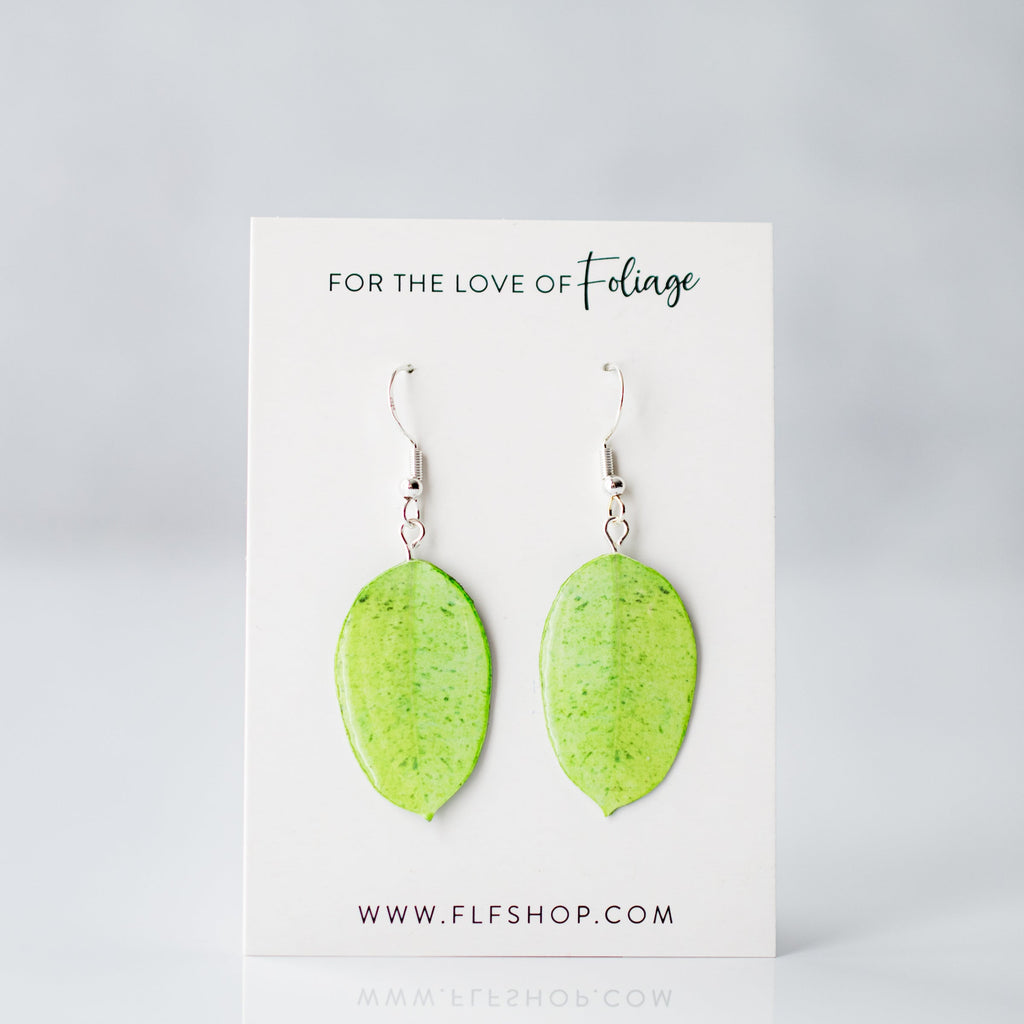 Ficus Shivereana "Moonshine" Plant Earrings | Leaf Earrings