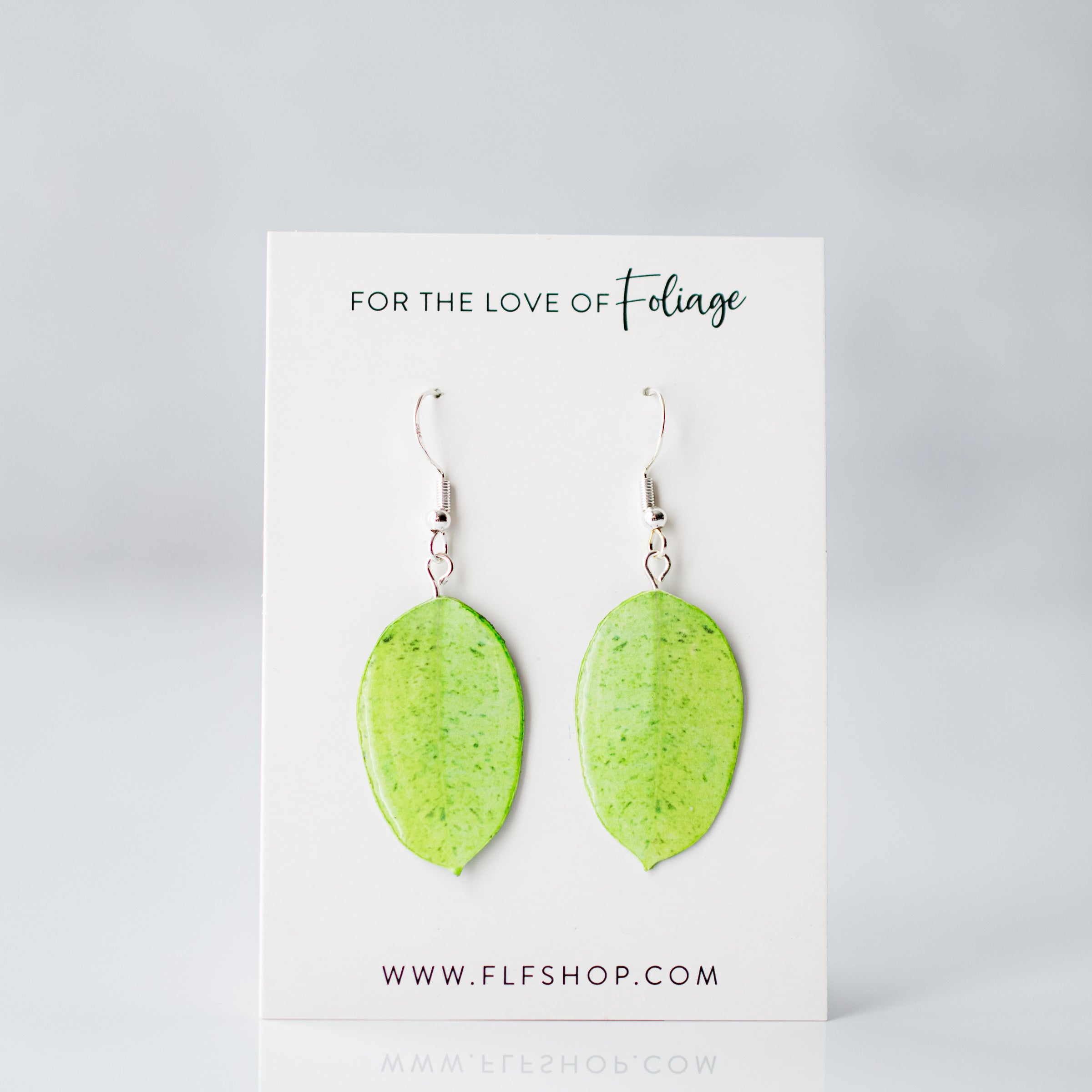Ficus Shivereana "Moonshine" Plant Earrings | Leaf Earrings