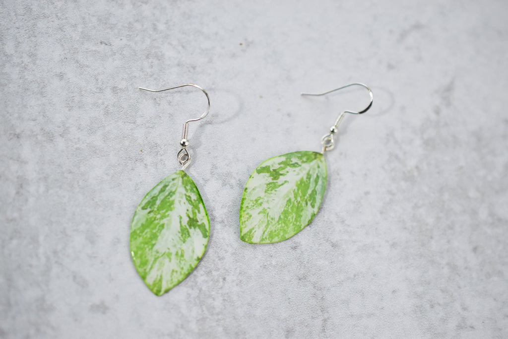 Variegated Persicaria Virginiana "Jumpseed" Plant Earrings | Leaf Earrings