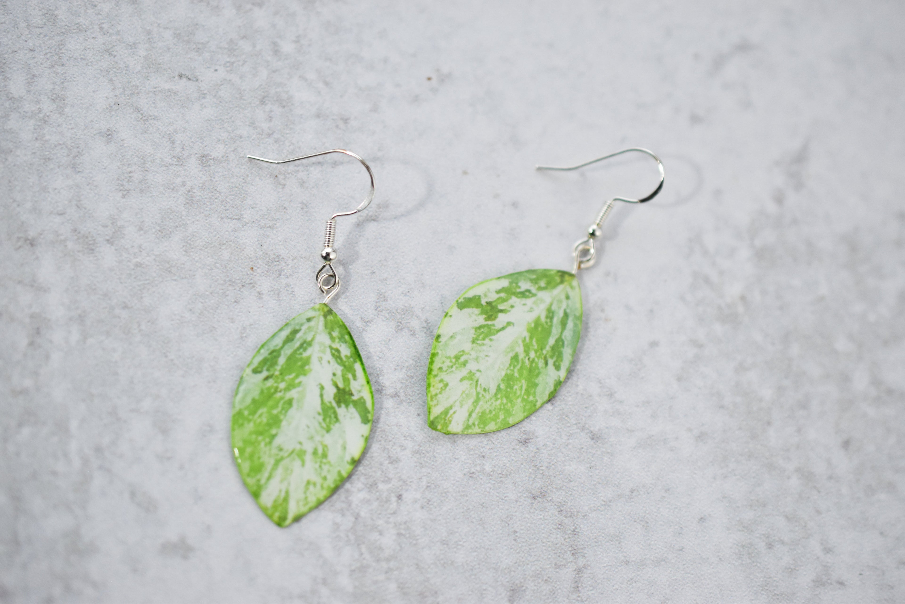 Variegated Persicaria Virginiana "Jumpseed" Plant Earrings | Leaf Earrings