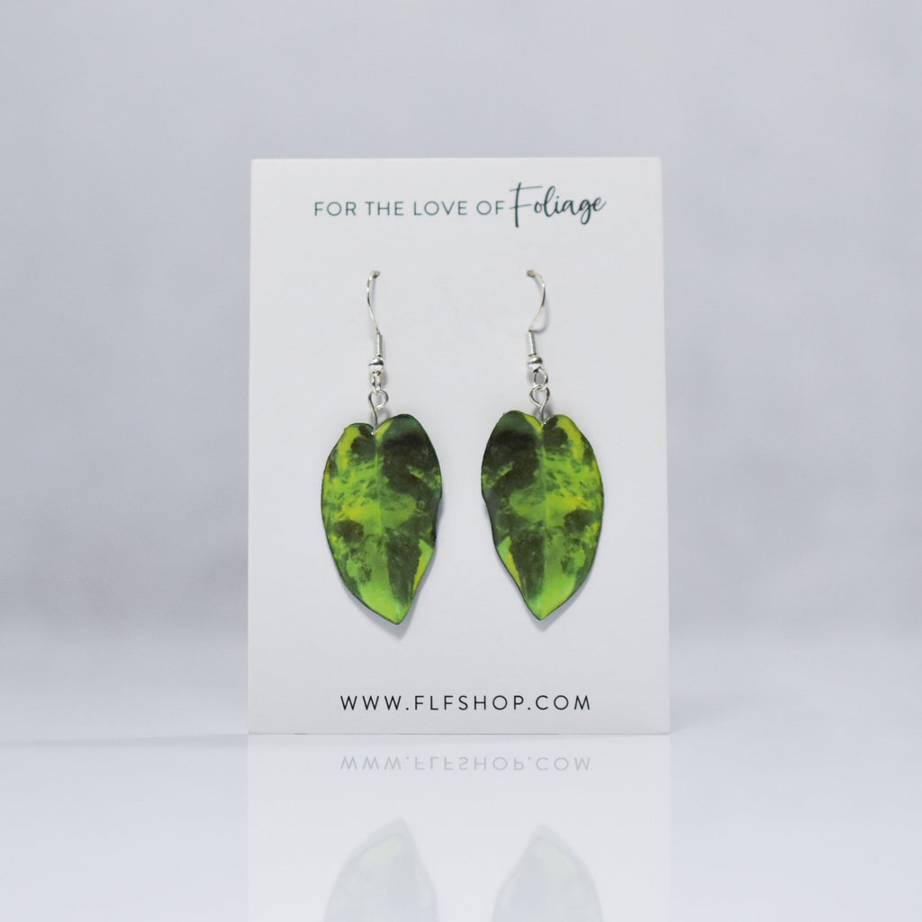 Philodendron Burle Marx Variegated Plant Leaf Earrings | Leaf Earrings