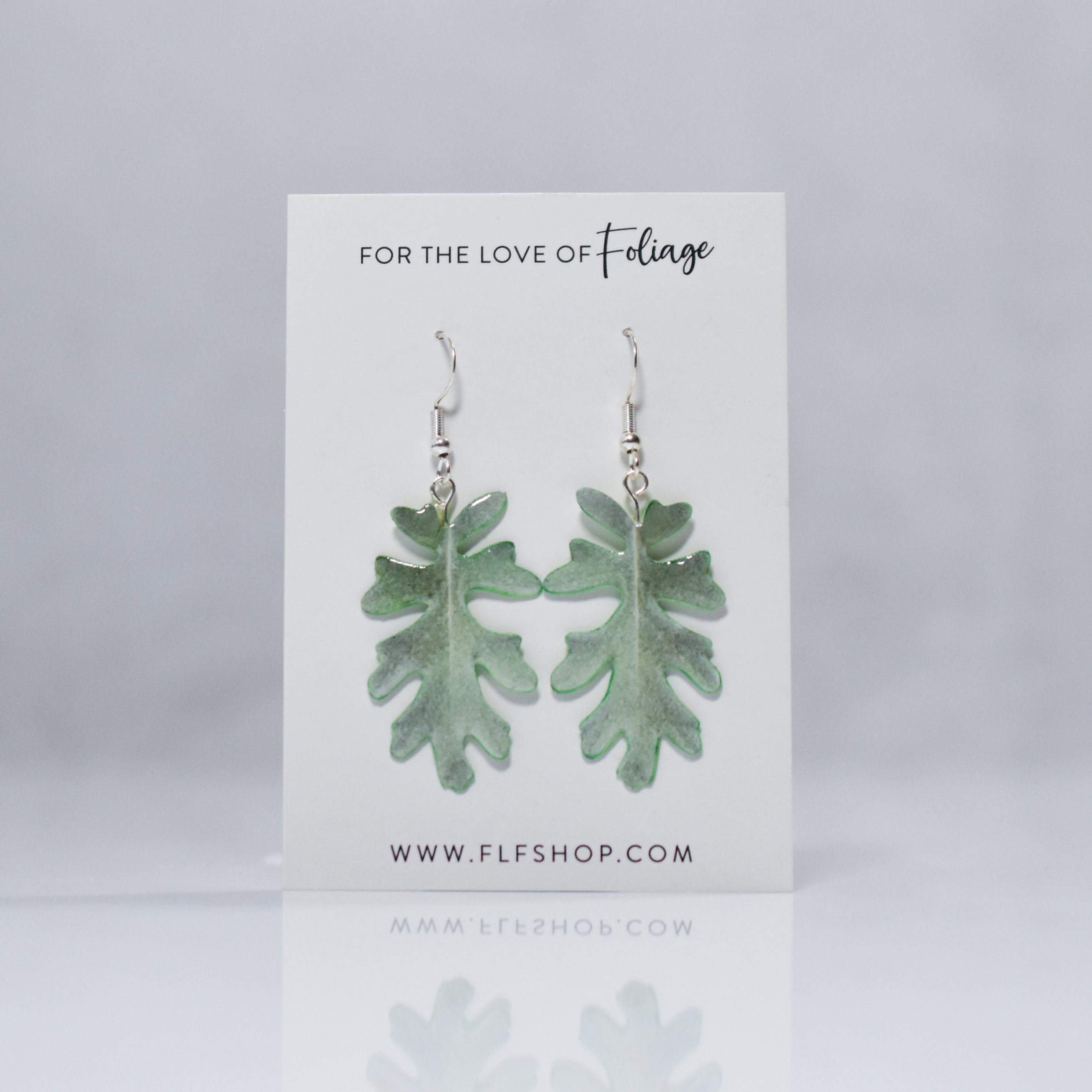 Jacobaea Maritima "Silver Ragwort" Plant Earrings | Leaf Earrings