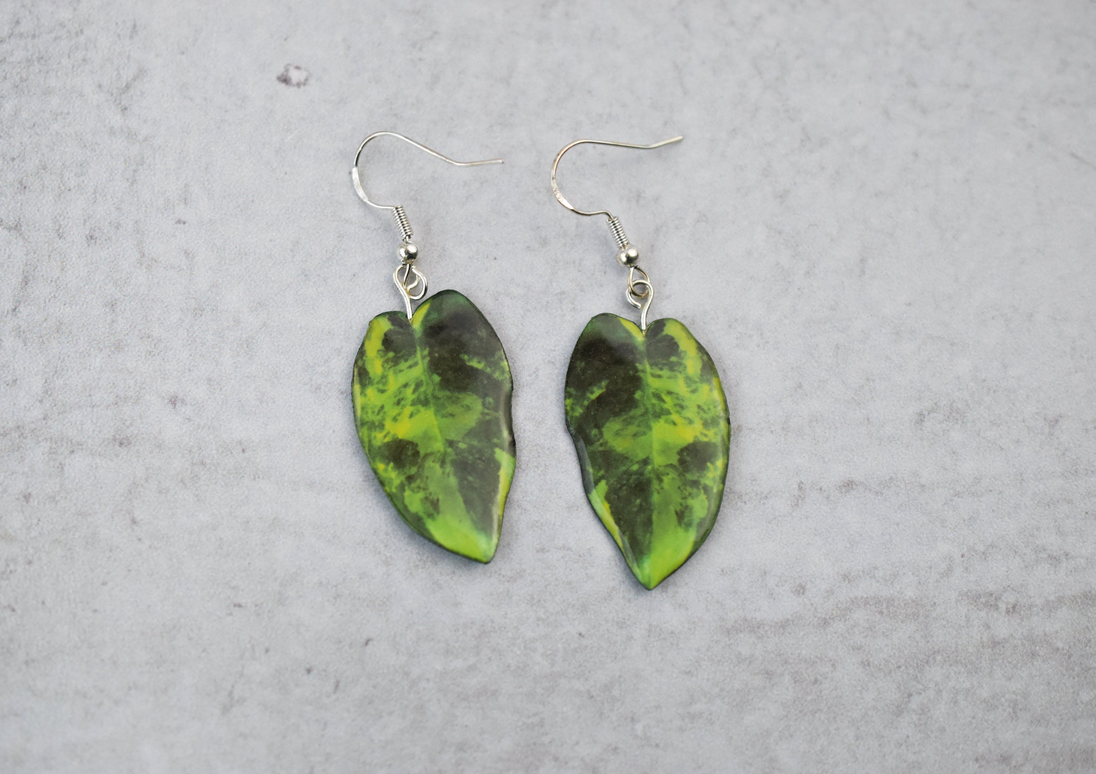 Philodendron Burle Marx Variegated Plant Leaf Earrings | Leaf Earrings