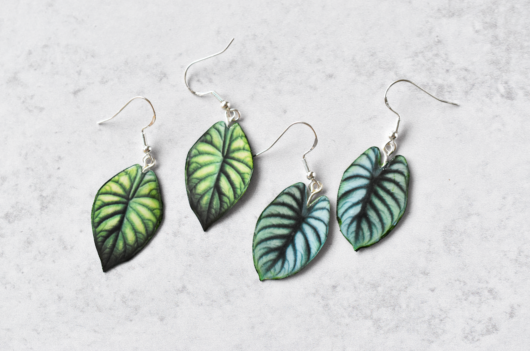 Alocasia Dragon Scale Plant Earrings | Leaf Earrings