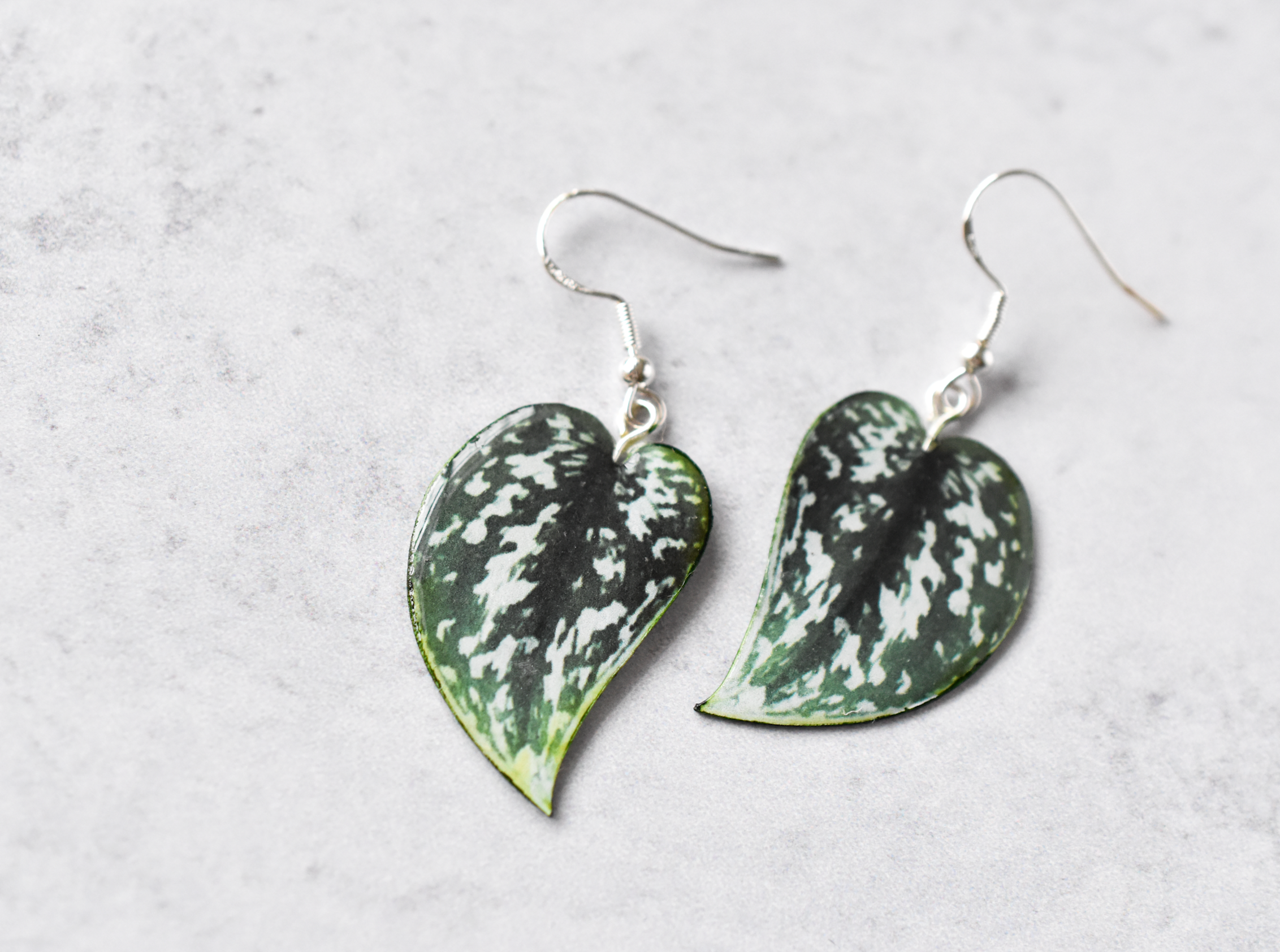 Scindapsus Argyraeus "Satin Pothos" Plant Earrings | Leaf Earrings