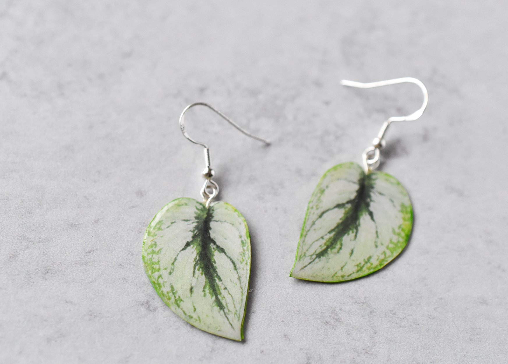 Scindapsus Pictus "Exotica" Plant Earrings | Leaf Earrings