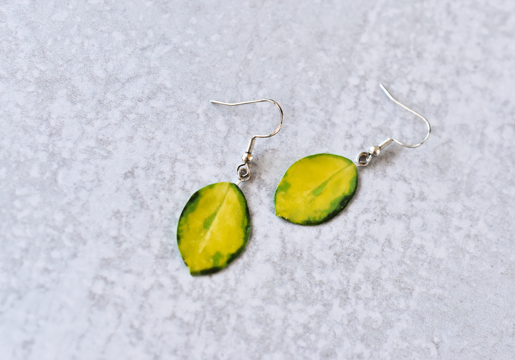 Hoya Australis Variegated “Lisa” Plant Earrings | Leaf Earrings