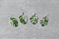 Monstera Albo 1/2 Moon Plant Earrings | Leaf Earrings